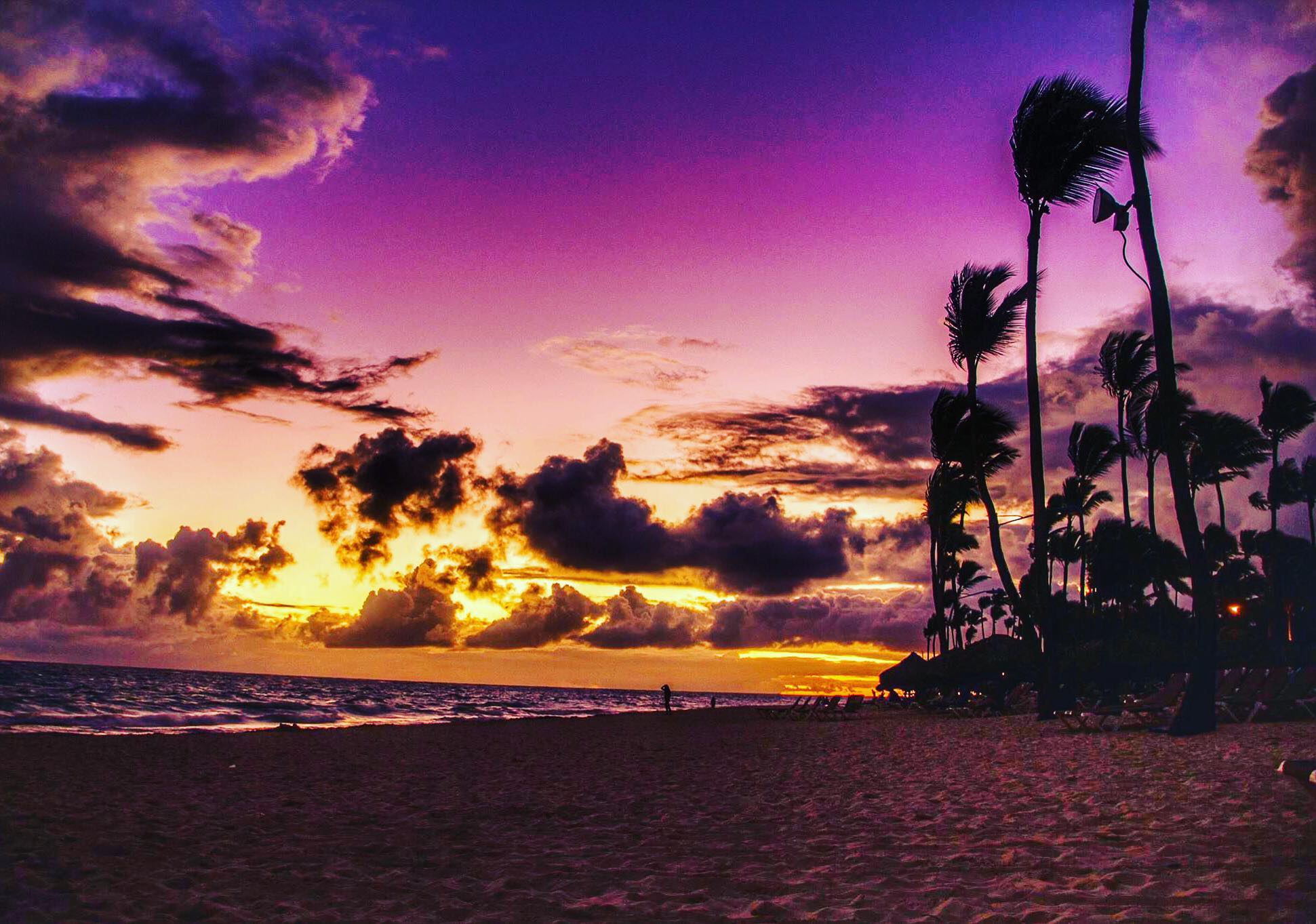 15167488_1192614027473674_6182278201535649887_o