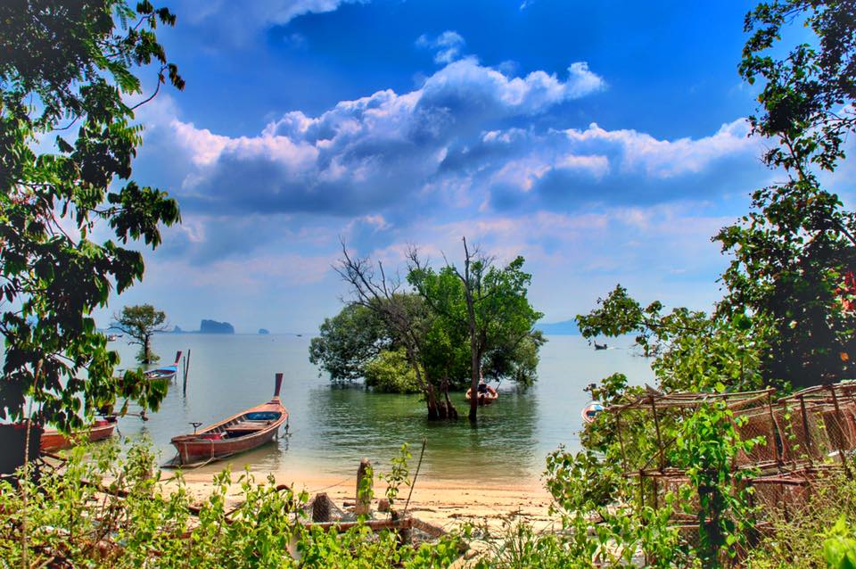 12565501_1057753937615321_9181971411187539232_n